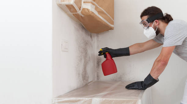 Professional Attic Mold Remediation technician working in Castleton, VA