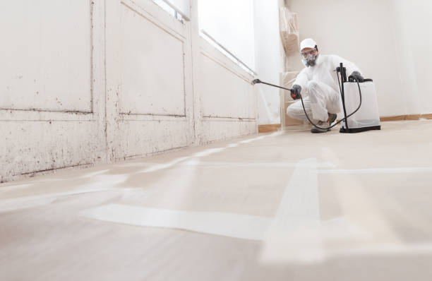 24/7 Emergency Attic Mold Remediation experts in Castleton, VA