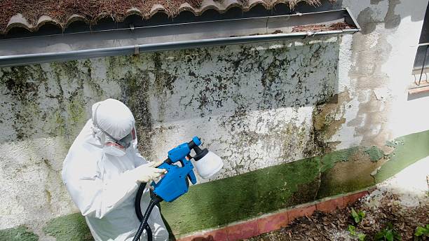 Top rated local Attic Mold Remediation specialists in Castleton, VA